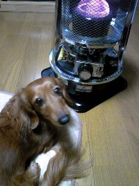 寒い夜は・・・ 2010/12/17 21:07:11