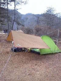 お山にてなんちゃって・・・ 2011/02/19 14:24:00