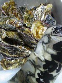 あの味が・・・ 2011/02/26 20:44:30