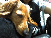 グッタリ？ 2011/05/07 17:24:03