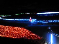 メリークリスマス 2011/12/25 18:03:31