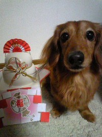 謹賀新年 2012/01/01 00:16:21