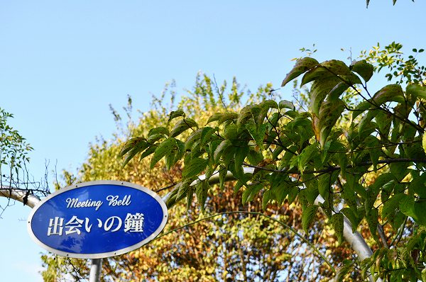 出会いの森総合公園オートキャンプ場