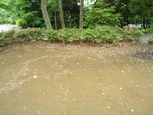 茨城県　御前山青少年旅行村