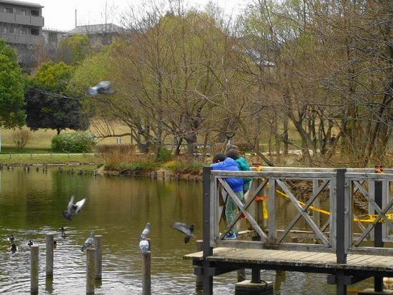 いつもの公園で・・・みぃちゃん。いないかな？（笑）