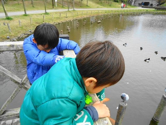 いつもの公園で・・・みぃちゃん。いないかな？（笑）