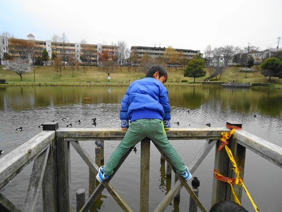 いつもの公園で・・・みぃちゃん。いないかな？（笑）