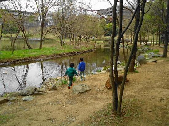 いつもの公園で・・・みぃちゃん。いないかな？（笑）