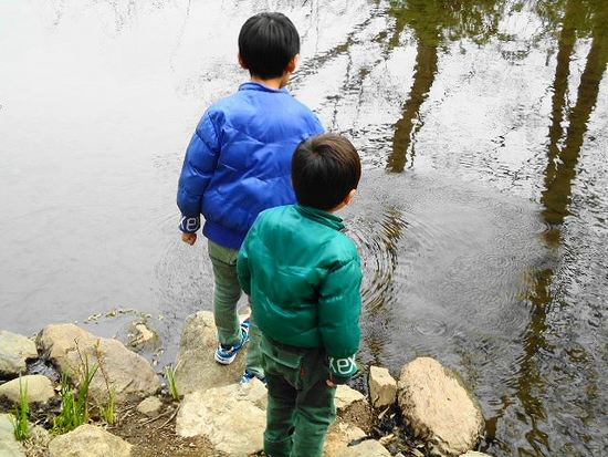 いつもの公園で・・・みぃちゃん。いないかな？（笑）