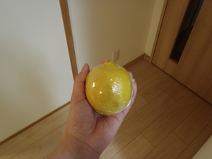 撃沈ワインの作り方
