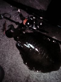 久々の・・・ 2007/09/01 18:00:00