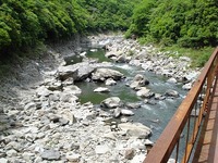 明日は！