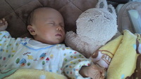 生後１か月☆ 2011/01/30 15:22:31