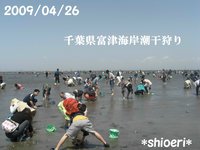 富津海岸潮干狩り 2009/04/27 14:35:58