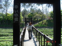 家族会議の結果・・・ 2009/04/29 01:08:46