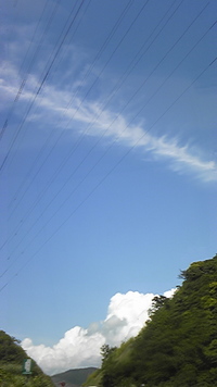 本日の戦利品 2009/05/31 23:45:39
