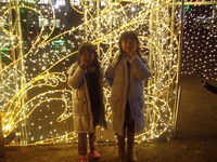 広島ドリミネーション 2007/12/08 23:45:46