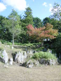 戦利品・・じゃなくて、秋吉台家族旅行村！