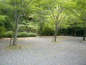 みと自然の森キャンプ③8・14-8・16