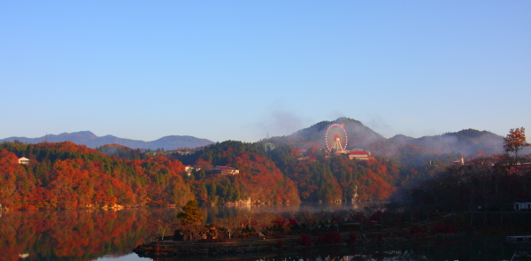 りんご狩り in 長野