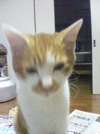 小鉄？ 2007/11/09 18:32:00