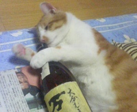 ゆたんぽ 2008/02/27 10:12:58