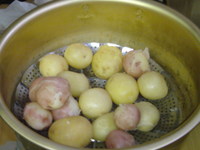 大収穫祭 2008/06/12 19:05:09