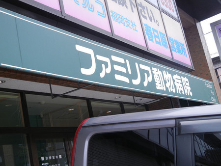 レッツ・・・娘