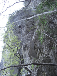 帝釈峡 2008/04/21 00:45:37