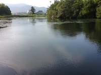 バス釣り 2008/07/04 00:13:58