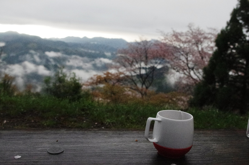 夜桜の会合