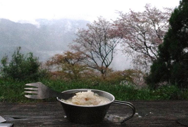 夜桜の会合