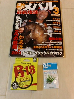 メバリング準備