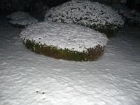 雪の朝。