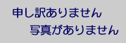 遊び城（本栖湖前編）。