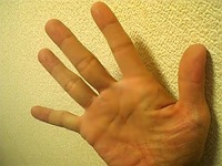 新潟だより２／５【ひと皮】（天気概況７＠上越）。