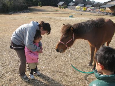 H25年２月キャンプ　リゾート大島（２）