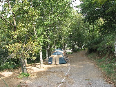 すまいるキャンプ 伊豆自然村キャンプフィールド