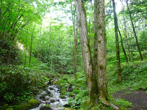 評価が分かれる「一の瀬高原キャンプ場」