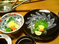 ふぐ、フグ、河豚　～グルメ３～