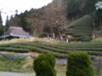 蕎麦と善哉
