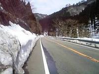 体調復活！　Ｓｐｒｉｎｇ ｈａｓ（？）・・・