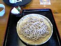 体調復活！　Ｓｐｒｉｎｇ ｈａｓ（？）・・・