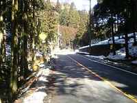 体調復活！　Ｓｐｒｉｎｇ ｈａｓ（？）・・・