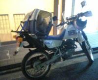 お犬様専用車