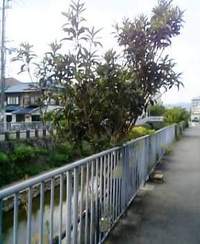 燃費改善その後