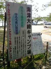二兎追うものは・・・　（白海老ツー）