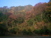焚き火がしたくて３　その他もろもろ