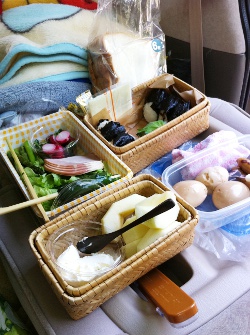 車中泊とか庭BBQとか