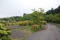 富士山こどもの国へ遠足からのキャンプ、の巻。